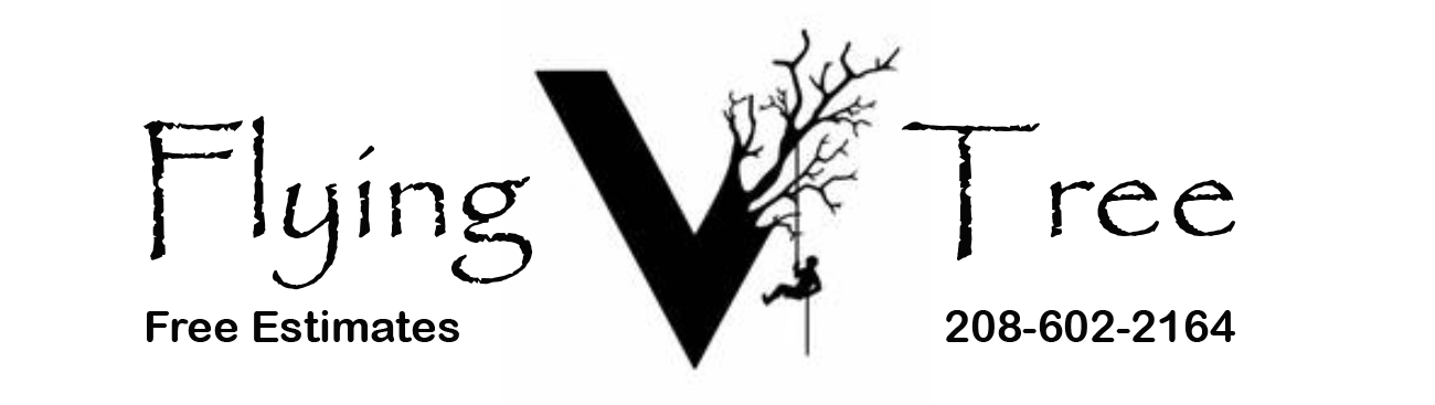 Flying V Tree logo